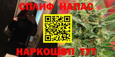 сатива Балахна
