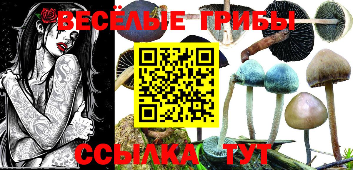 Галлюциногенные грибы мухоморы Еманжелинск